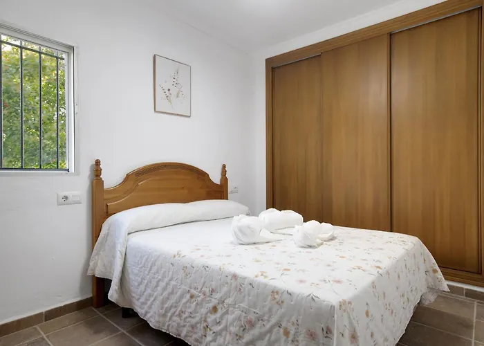 Manuel Y Paca 科尼尔-德拉弗龙特拉